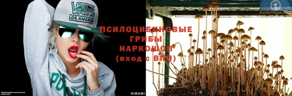 apvp Беломорск